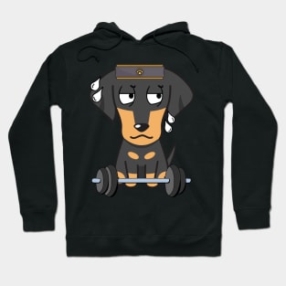 Funny dachshund is exercising Hoodie